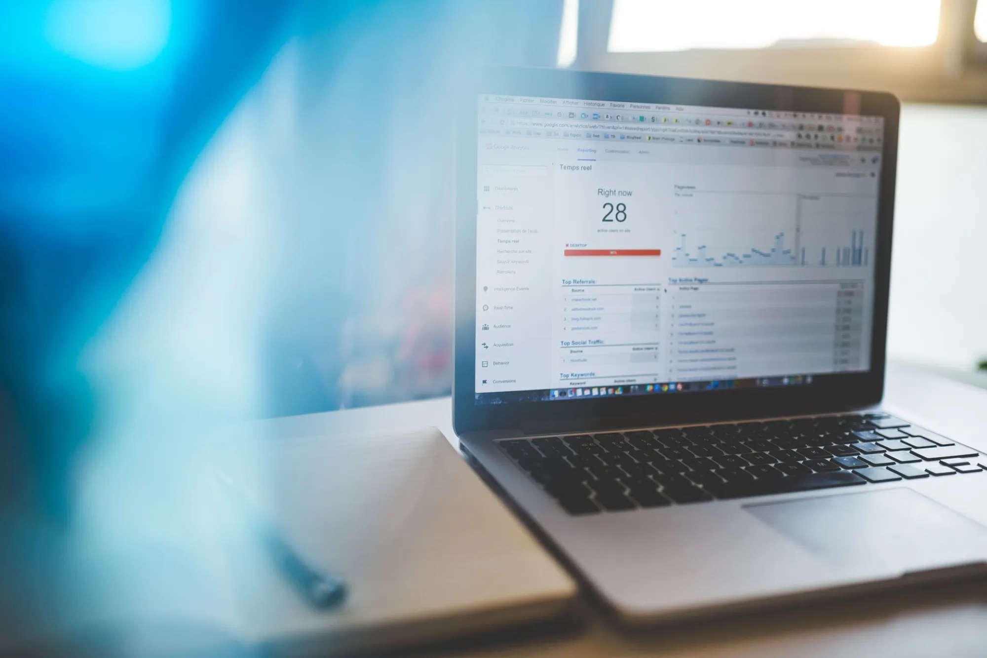 Visibilité & SEO